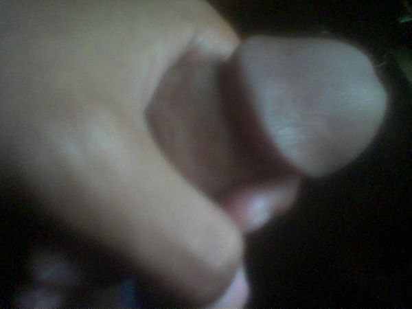 memek kontol