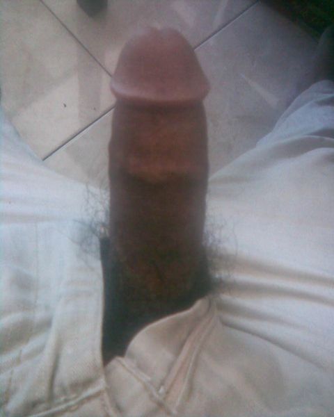 jilat kontol