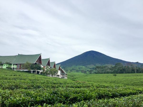 model pagar tembok rumah