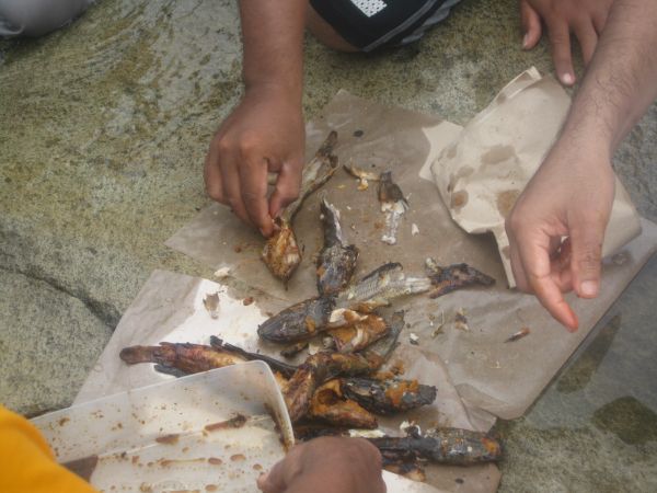 ngintip cewek mandi indonesia