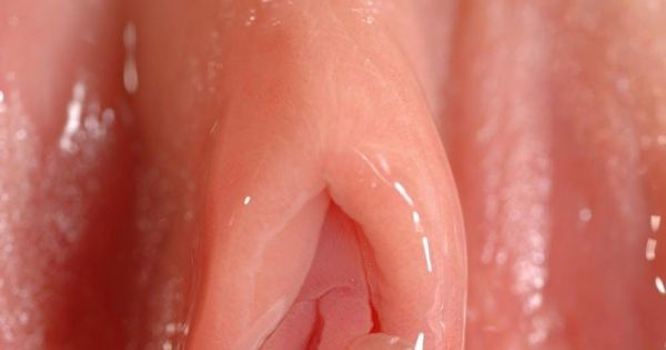 menarche vagina