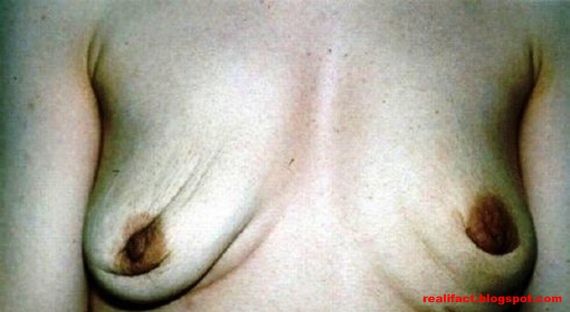 memek arab