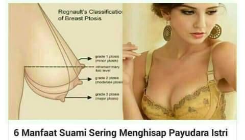 gambar ibu hamil