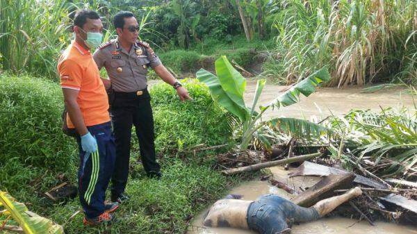 tubuh wanita tanpa busana