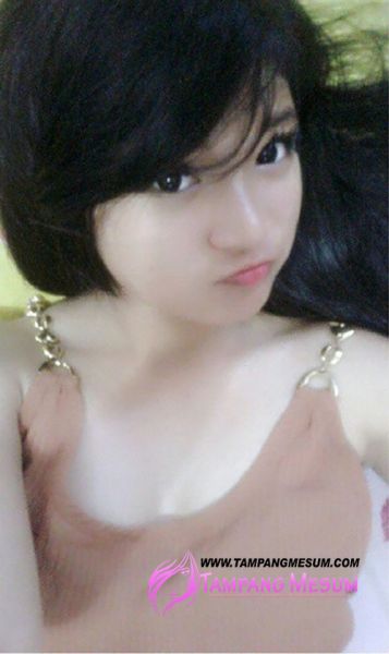 toket mulus