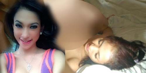 amel alvi ass
