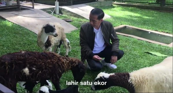 gambar emek
