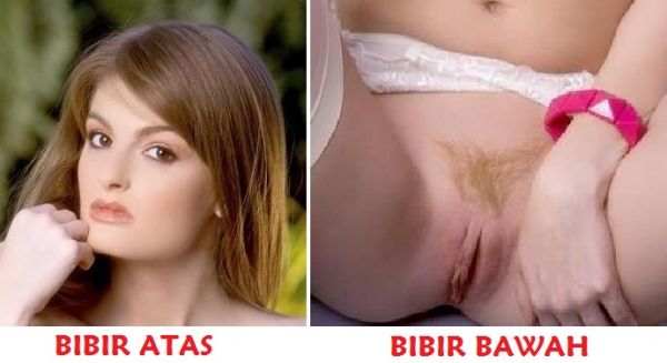 isteri hisap butu dan biji