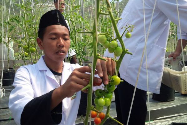 cewek gemuk bugil