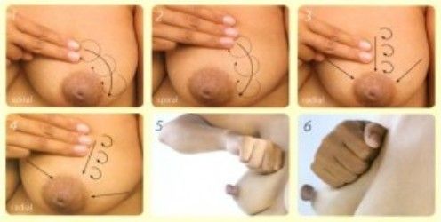 ngemut memek