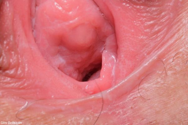 indo lubang vagina
