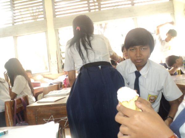 lalat indonesia gambar dewasa