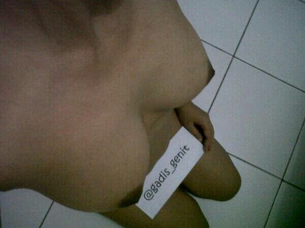 ngentot memek jilbab