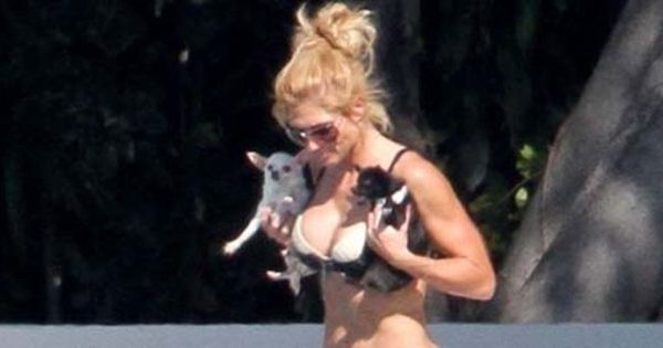 torrie wilson hot
