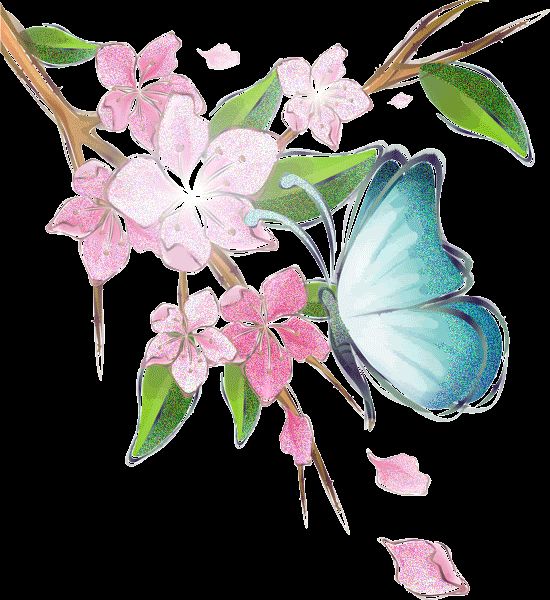 animasi gambar haiwan