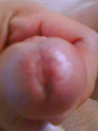 kontol vs memek