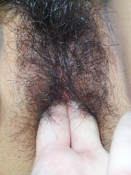 fungsi bulu memek