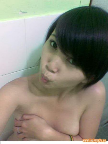 smp ngentot