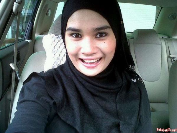 gambar kucing