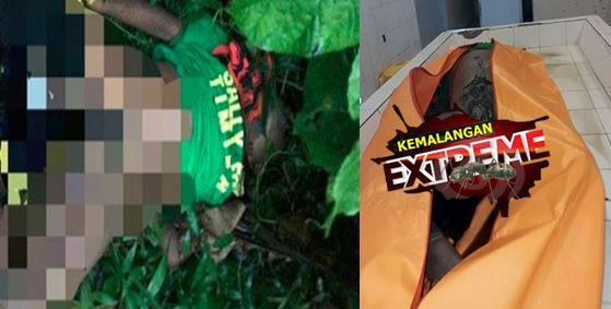 gambar wanita cantik