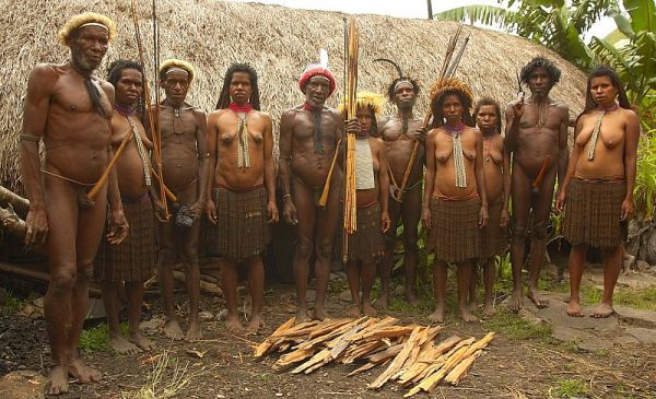 organisasi papua merdeka