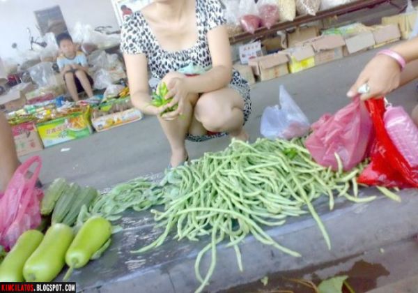 ngentot memek mulus