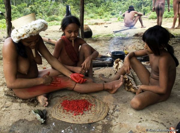 suku dayak kalimantan