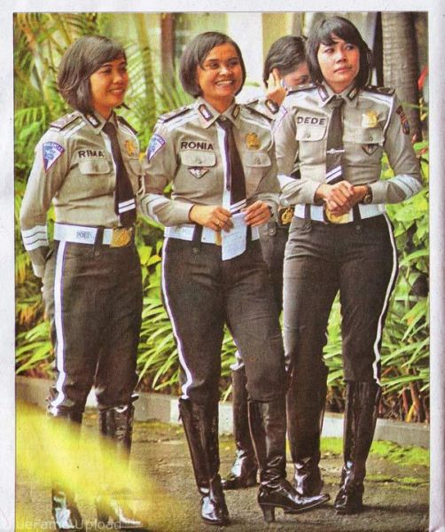 celana dalam pria l