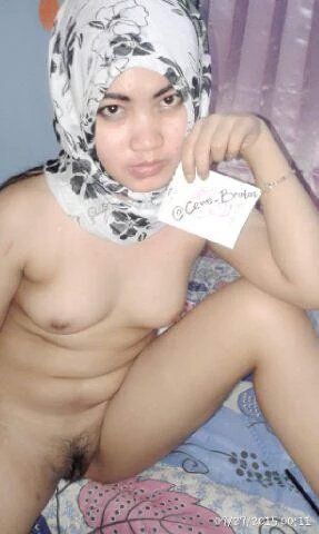 ngentot cewek bohay