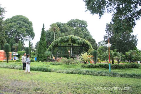 sketsa gambar kolam renang