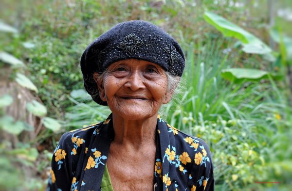 gambar tempek indonesia