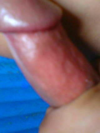 jilat memek