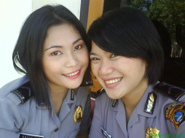 artis cina