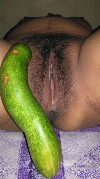 kontol vs memek
