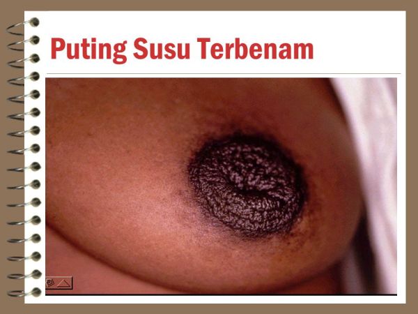 puting susu women hd