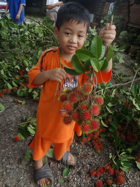 entot cantik
