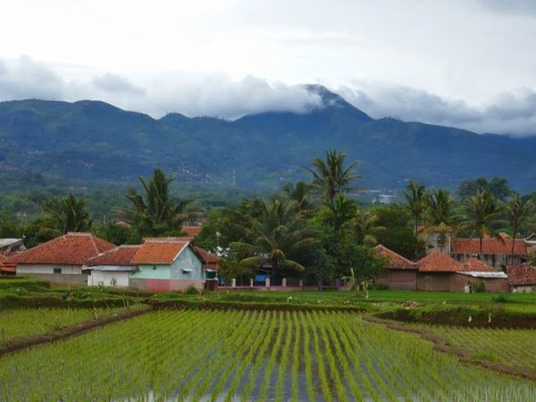 istri di entot