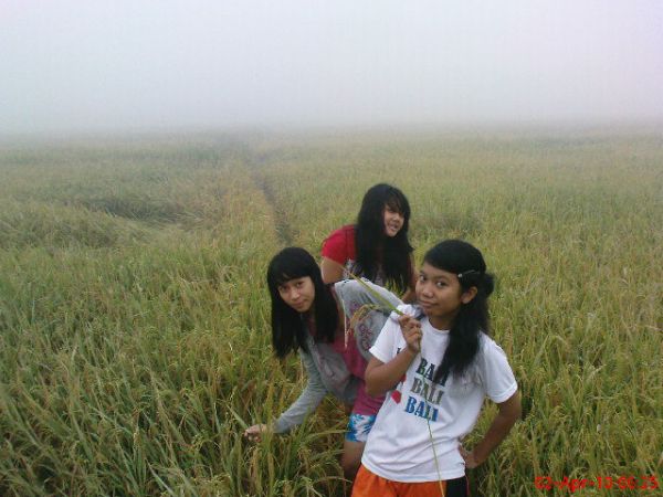 orang hamil
