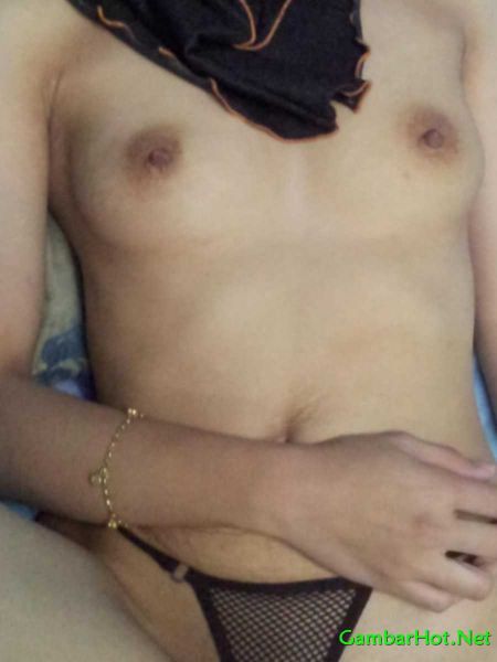 janda gatel