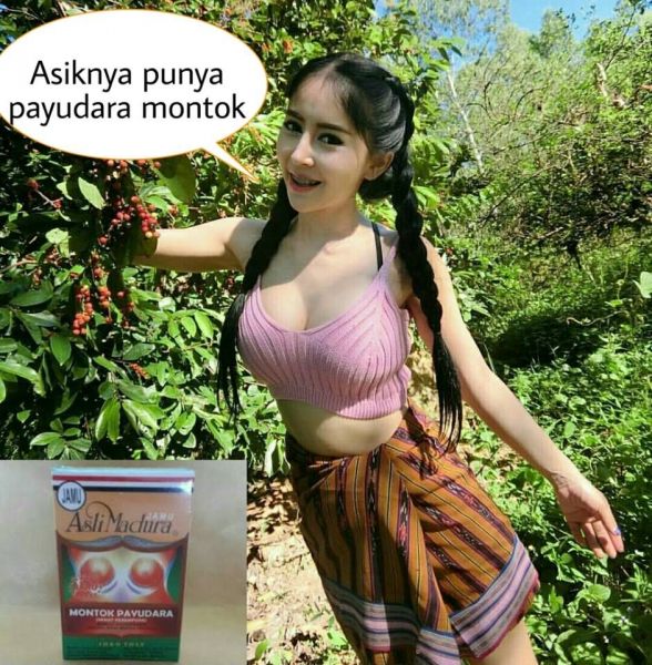 payudara montok bokep