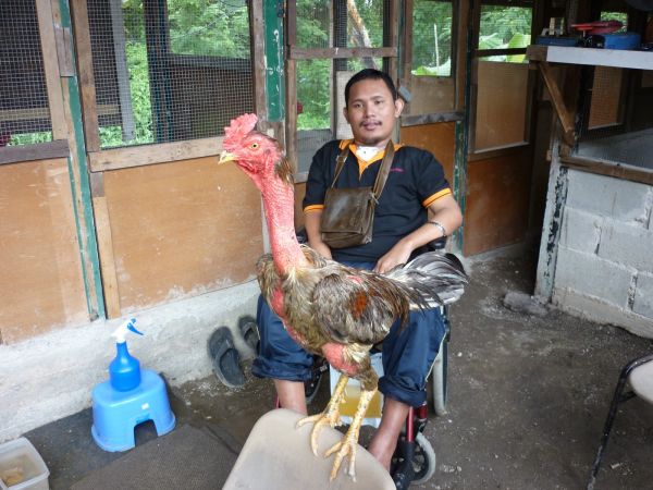 memek perawan bugil