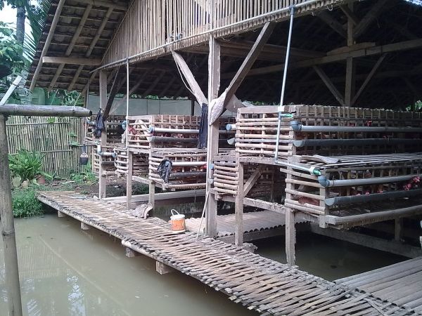 kontol memek cewek bugil