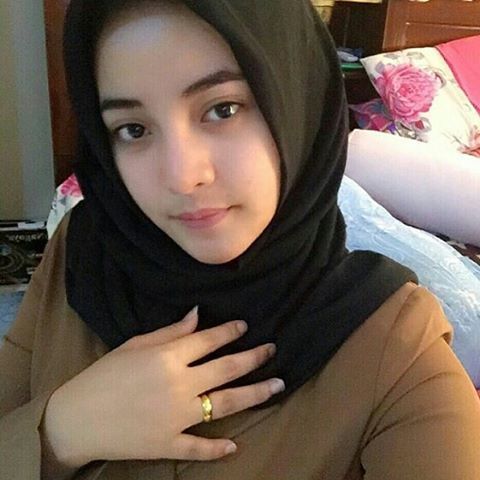 gambar reproduksi