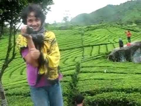 ngentot di warnet
