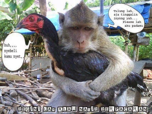 puisi pacaran jarak jauh