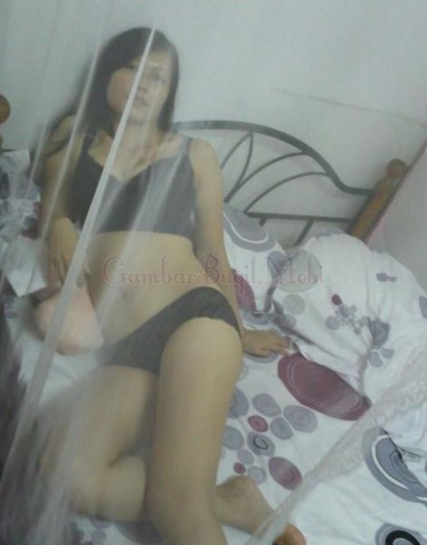 cinzia raffaeli rocco siffredi