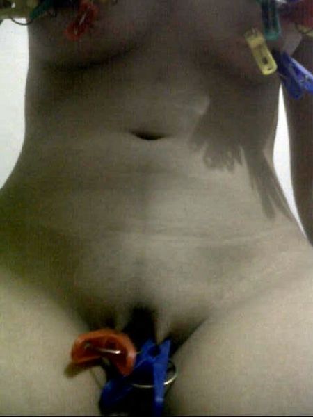 pentil artis