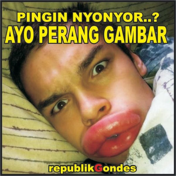 gambar toket
