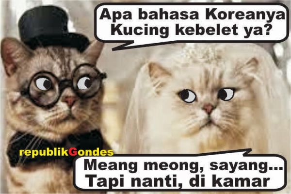 koleksi gambar ajaib
