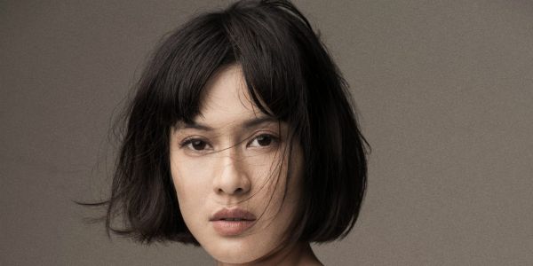 dian sastro aadc